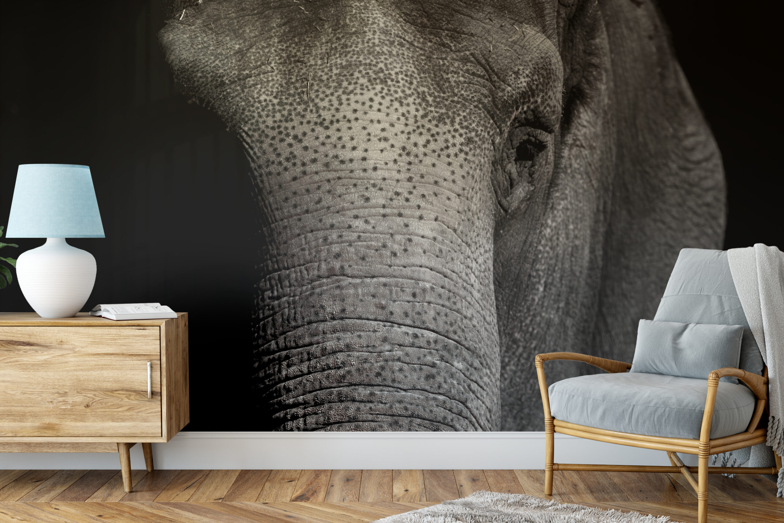 Behang Close up olifant